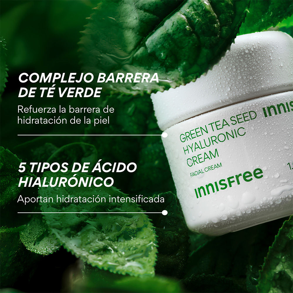 GREEN TEA HYALURONIC ACID HYDRATING CREAM FOR SKIN BARRIER REPAIR (CREMA DE T&Eacute; VERDE Y &Aacute;CIDO HIALUR&Oacute;NICO)